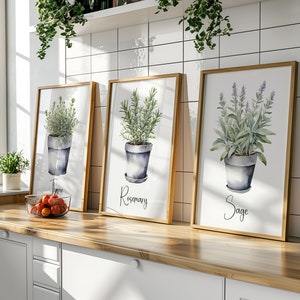 Watercolor Potted Herbs Wall Art Set of 3 6 12, Kitchen Botanical Print ...