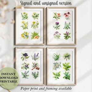 Aquarell Kräuter Wand Kunst Botanik Poster Kräuterkundler Wanddekor Heilkunst Kräuterheilkunde Kunstdruck Kräuterkräuter Garten Kunst Set mit 4 botanischen Drucken