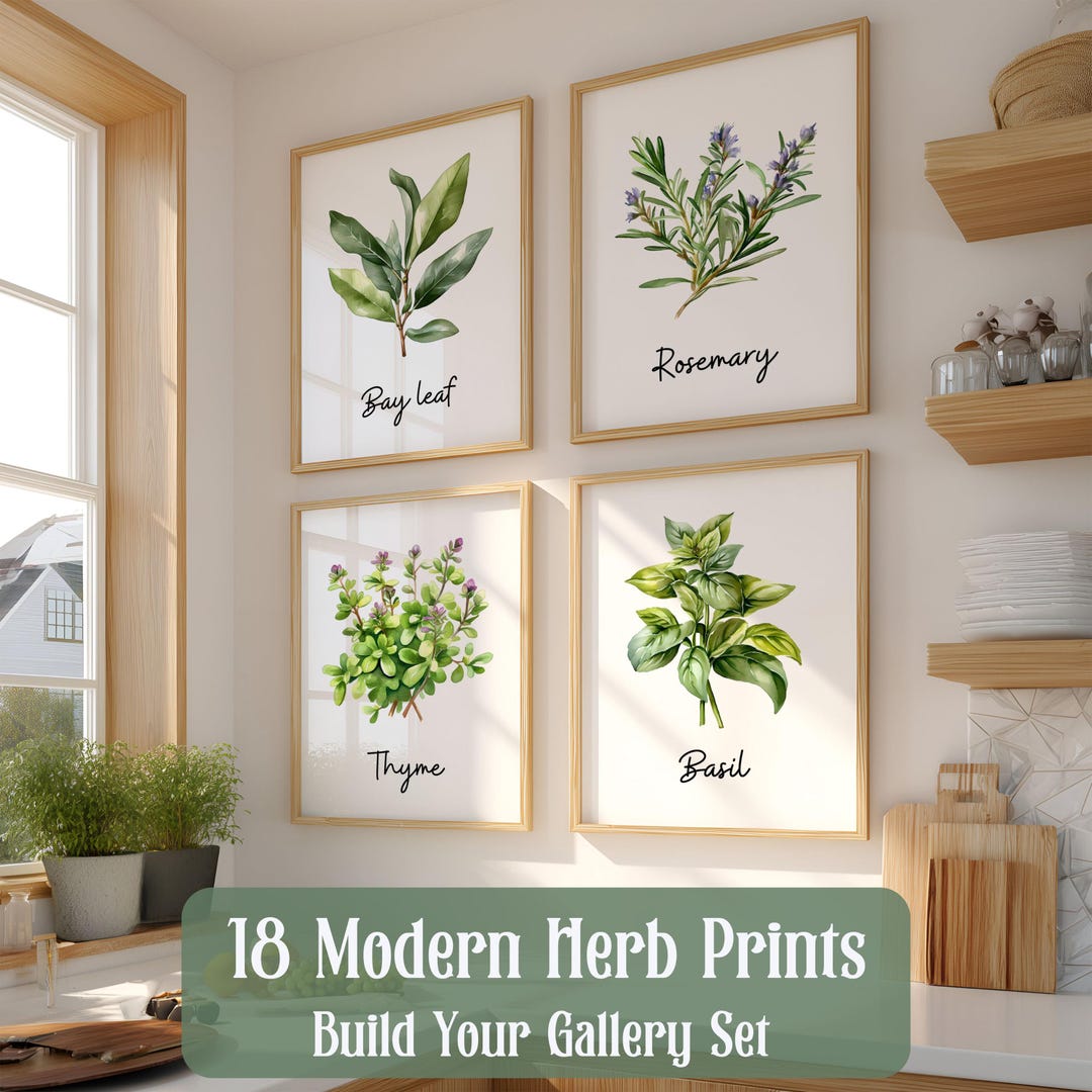 botanical herb prints set of 4 unframed botanical herb... Watercolor Herb Wall Art Set | Framed or Unframed Botanical Kitchen ...