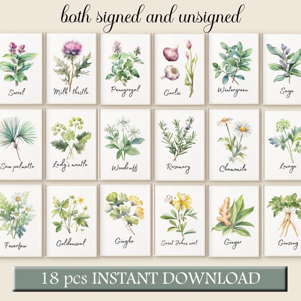 Herbal Wall Art - Etsy