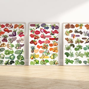 Aquarell Obst Gemüse Kräuter & Gewürze Wandkunst, Garten Pflanzen Illustration Küche 3er Set Drucke, Modernes Essen Extra Großes Poster Set