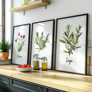 Watercolor Herb Prints Set of 18 – Printable Kitchen Wall Art Bundle ...