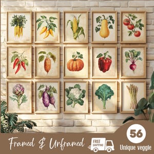 Op de afbeelding: Set van 16 afdrukbare vintage botanische illustraties met verschillende groenten. De illustraties zijn in een gedempte kleurenpalet met een witte achtergrond en zijn ingelijst in een licht houten lijst. De tekst "Framed & Unframed" staat onderaan de afbeelding.