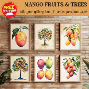 Op de afbeelding: Set van zes aquarellen met mango's en bomen. De schilderijen zijn ingelijst in hout en hebben een witte achtergrond. De schilderijen tonen verschillende stadia van de groei van mango's, van de boom tot het rijpe fruit.