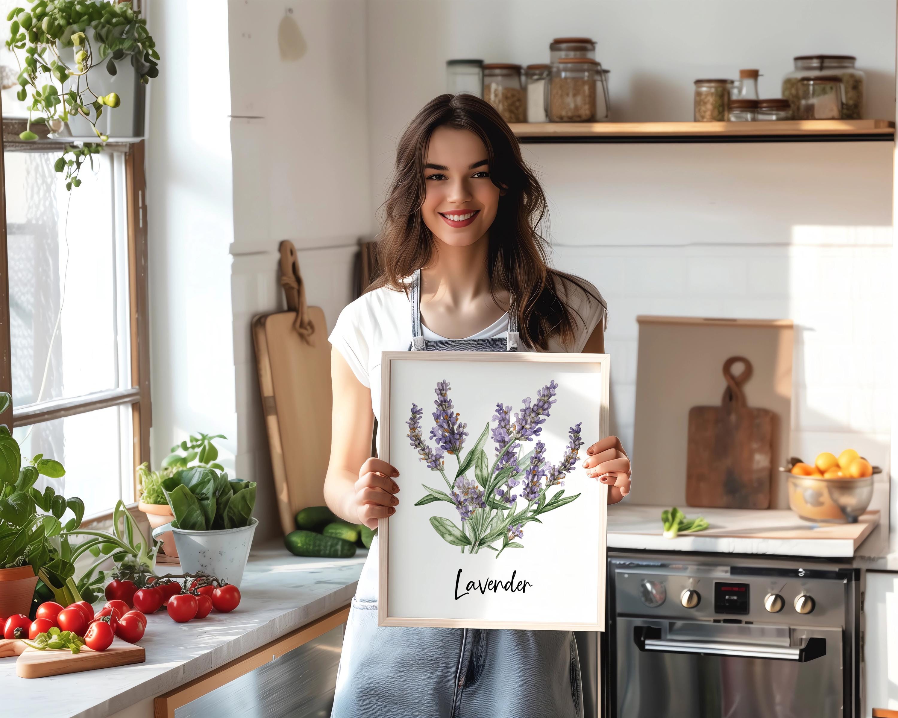 Watercolor Herbs & Spices Wall Art Set of 24, Herbal Botanical Dining ...