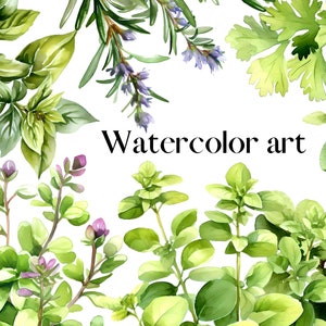 Watercolor Herb Prints Set of 18 – Printable Kitchen Wall Art Bundle ...