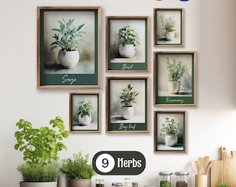 May include: Nine framed herb prints, including sage, basil, and rosemary, with white pots against a neutral background. The prints are in wooden frames with a dark green border. The text "9 Herbs" is displayed in a white circle.