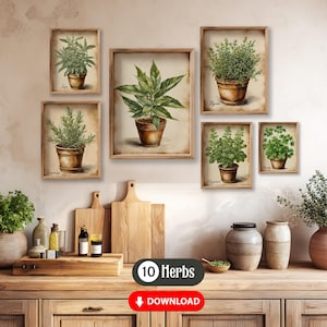 Conjunto de 10 impressões de ervas vintage em aquarela em vasos de barro, arte de jardim de ervas em aquarela, arte de parede com ervas grandes, decoração de presente para herborista, IMPRIMÍVEL