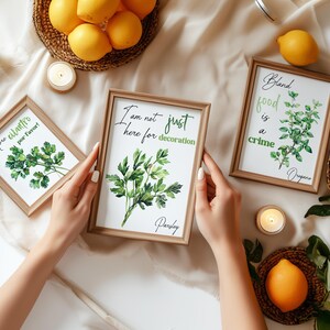Watercolor Funny Herb Wall Art Sign Set of 2 3 6, Modern Kitchen Herb ...