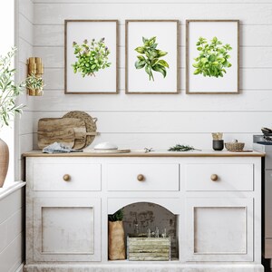 Watercolor Herbs Print Set of 3 or 6 or 12 Kitchen Herbs Gallery Wall ...