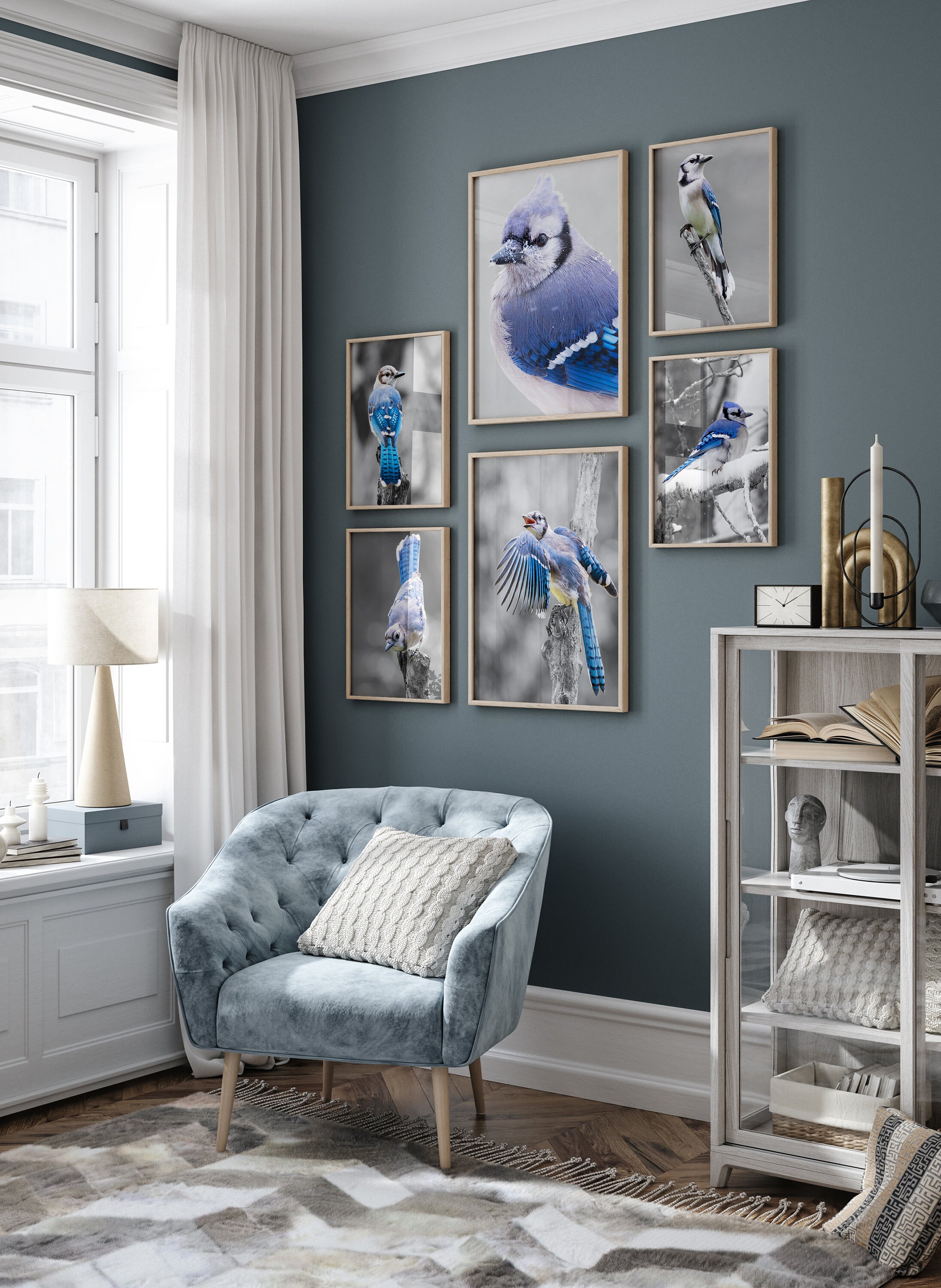 Blue Jay Bird on Black and White Photos Print Set of 12, B&W