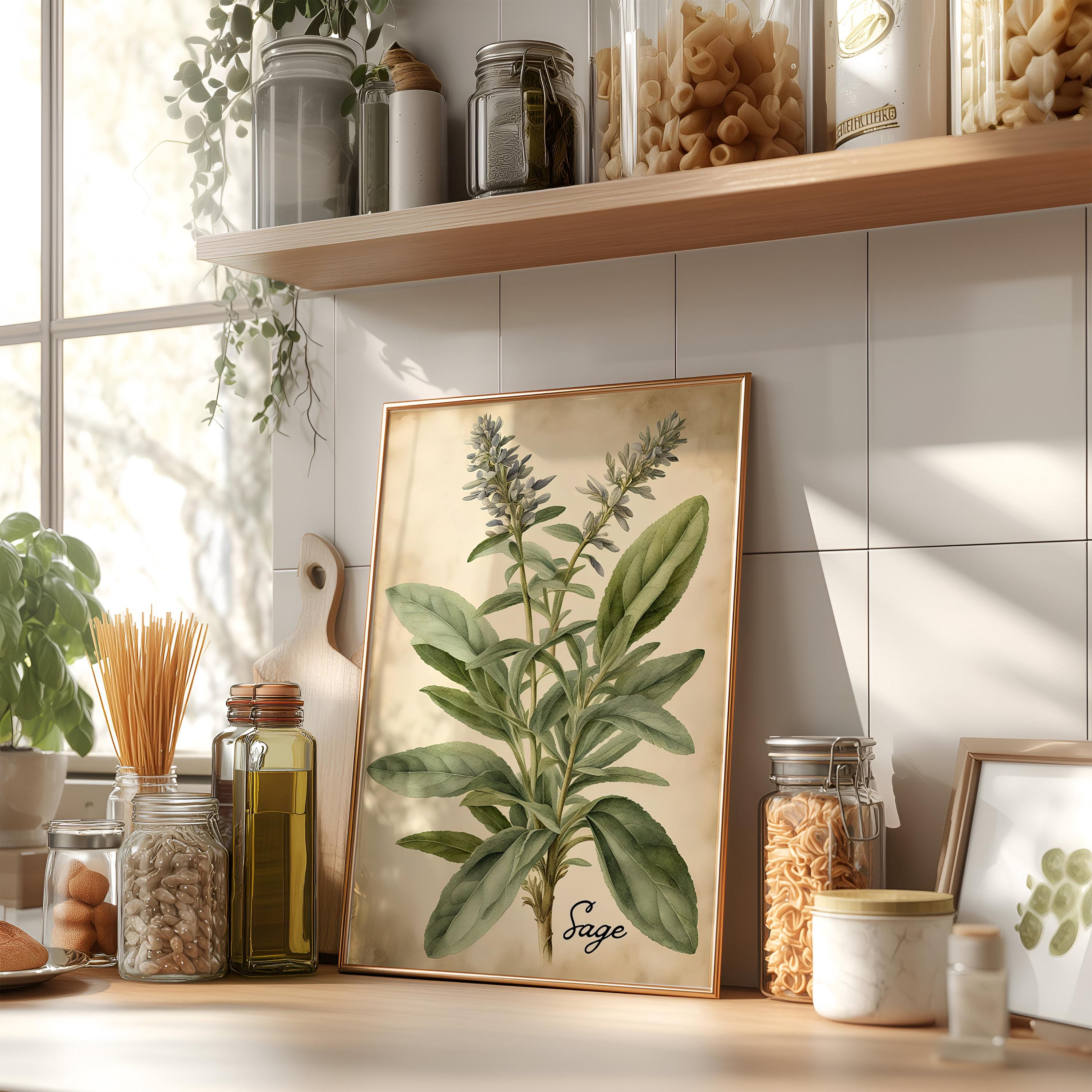 Vintage Watercolor Herb Prints – Rustic Kitchen Wall Art Set | Antique ...