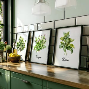 Watercolor Herb Prints Set of 18 – Printable Kitchen Wall Art Bundle ...