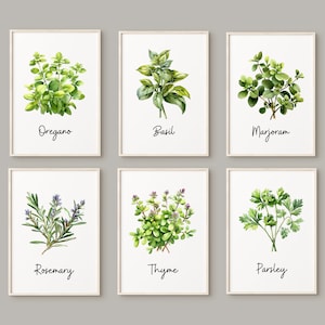 Erbe dell'acquerello Set di 6 stampe Herb Kitchen Decor Poster Set Origano Maggiorana Rosmarino Basilico Set di arte murale minimalista Carta o stampa su tela