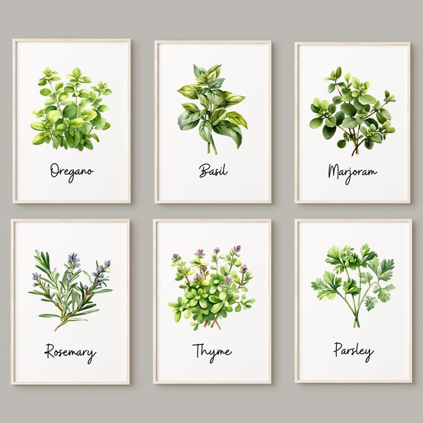 Erbe dell'acquerello Set di 6 stampe Herb Kitchen Decor Poster Set Origano Maggiorana Rosmarino Basilico Set di arte murale minimalista Carta o stampa su tela