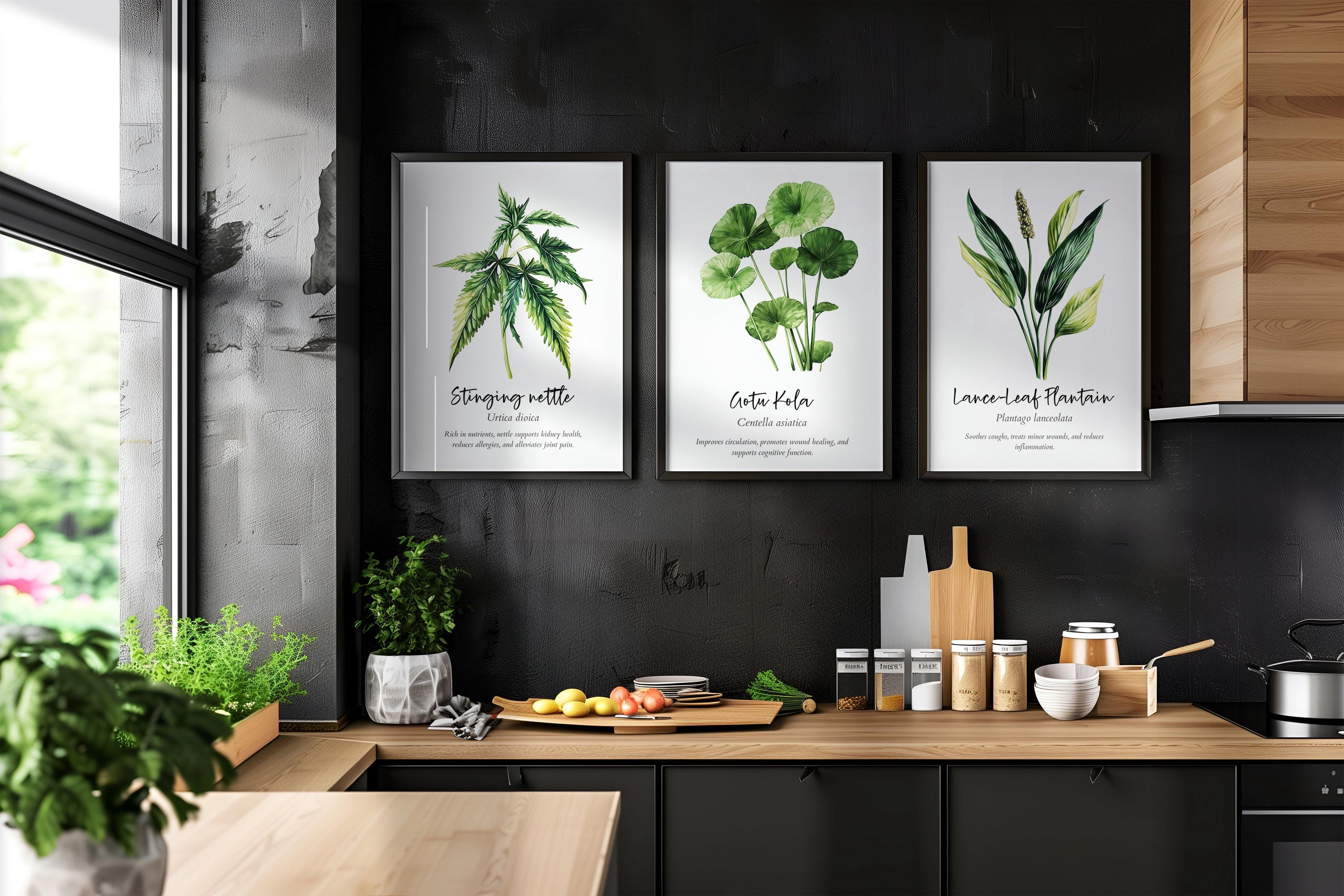 Watercolor Medicinal Herb Wall Art Set of 20, Healing Herb Guide Bundle ...