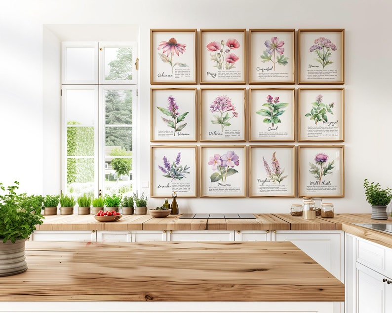 Botanical Pastel Herbs Art Print Set of 3,6,8 or 12, Plant Medicine ...