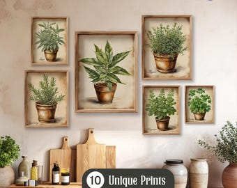 Vintage Watercolor Herb Prints – Rustic Kitchen Wall Art Set of 3, 6 or 8 | Antique Herbs in Clay Pot Cottagecore Poster | FREE Shipping
