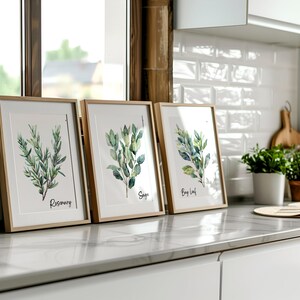 Watercolor Herb Gallery Wall Art Sign Set of 2 3 4 6, Modern Kitchen ...