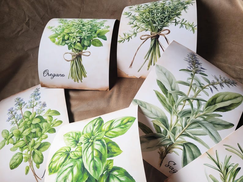 Vintage Watercolor Herb Prints – Rustic Kitchen Wall Art Set | Antique ...