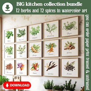 Conjunto de 24 artes de parede de ervas e especiarias em aquarela para cozinha, conjunto de impressões de sala de jantar botânicas, especiarias, ervas, presente de herbalista, impressões de arte para impressão