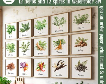 Kitchen Watercolor Herbs & Spices Wall Art Set of 24, Spices Herbs Botanical Dining Room Print Bundle, Herbalist Gift Printable Art Prints