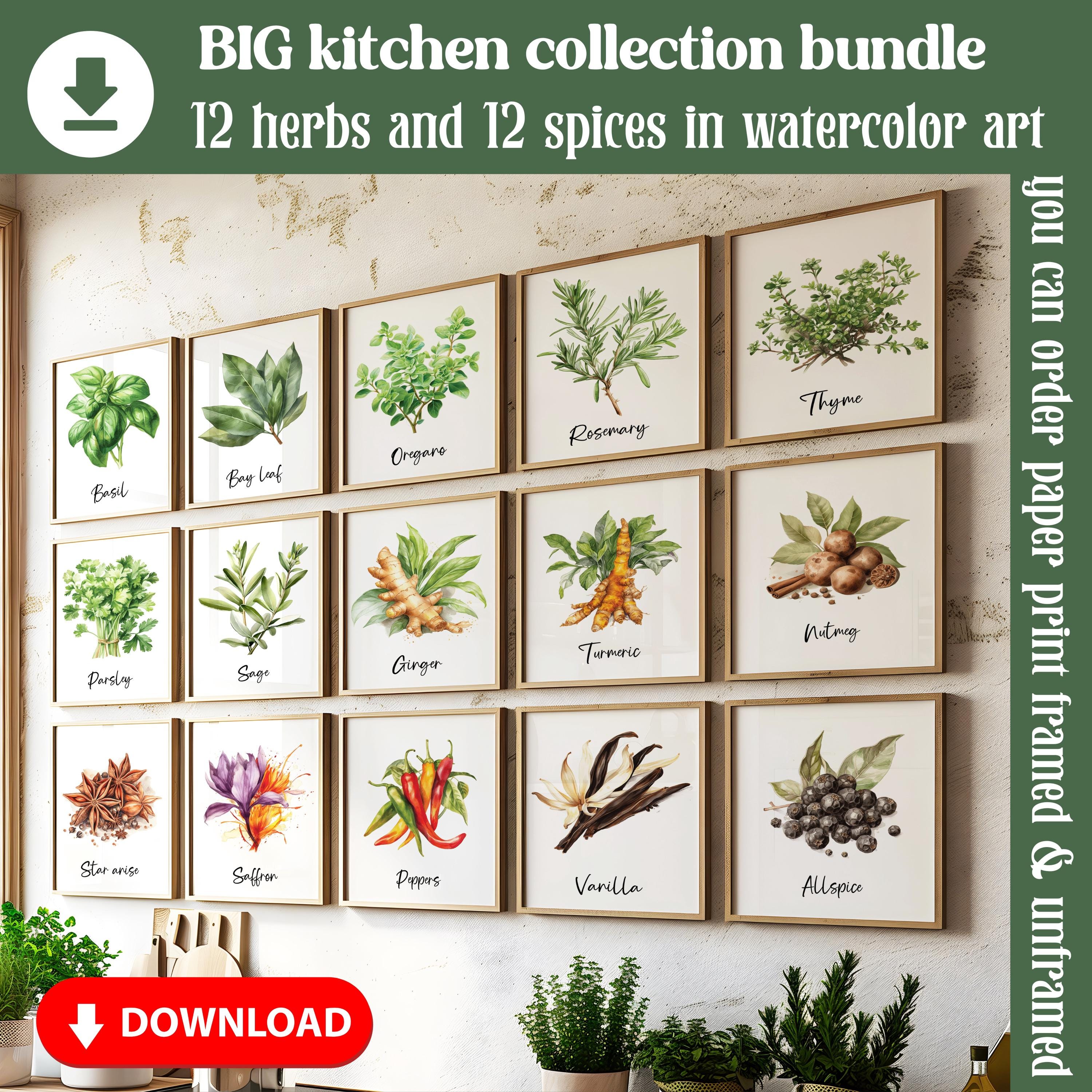 Kitchen Watercolor Herbs & Spices Wall Art Set of 24, Spices Herbs ...