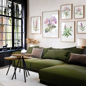 naturopath wall art