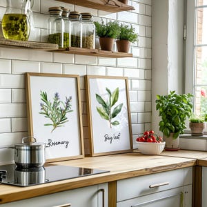 Watercolor Herb Prints Set of 18 – Printable Kitchen Wall Art Bundle ...