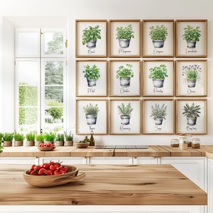 Watercolor Potted Herbs Wall Art Set of 3 6 12, Kitchen Botanical Print ...