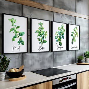 Modern Watercolor Herbs Print Set of 3,6 or 12, Kitchen Botanical Herb ...