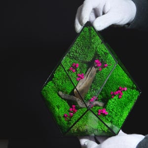 Può includere: Un terrario geometrico con una base di muschio verde vibrante, un pezzo di legno trasportato dalla corrente e piccoli fiori rosa. Il contenitore di vetro è tenuto da mani guantate su uno sfondo scuro, mostrando il paesaggio in miniatura.