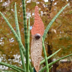 May include: A ceramic gnome garden stake with a textured orange hat and a brown face. The stake is green and is inserted into a potted plant.