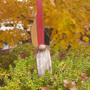 May include: A ceramic gnome figurine with a red, yellow, and black hat. The gnome is standing in a pot of green succulents.