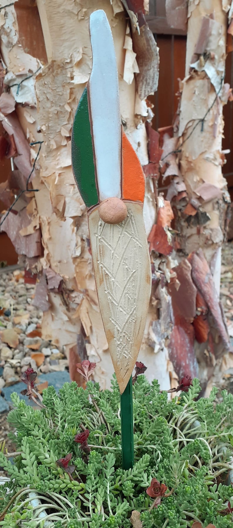 Irish on stake