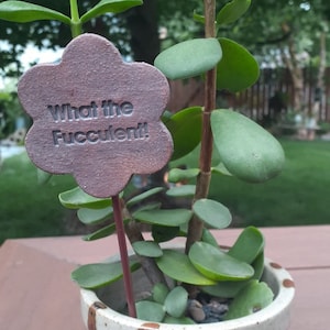 Succulent, Fucculent, Funny Plant Sitter, Garden, Clay, Ceramic, Plant Stake, Gift, Pottery, Flower, Funny