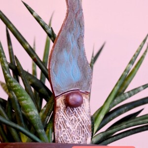 May include: A ceramic gnome figurine with a blue and brown hat and a white beard. The gnome is standing in a pot with a green plant. The text "Caribbean Blue" is visible at the bottom of the image.