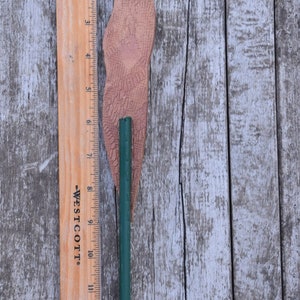 May include: A brown, textured, wooden floral stem with a green metal wire running through the center. The stem is about 14 inches long and is measured against a wooden ruler.