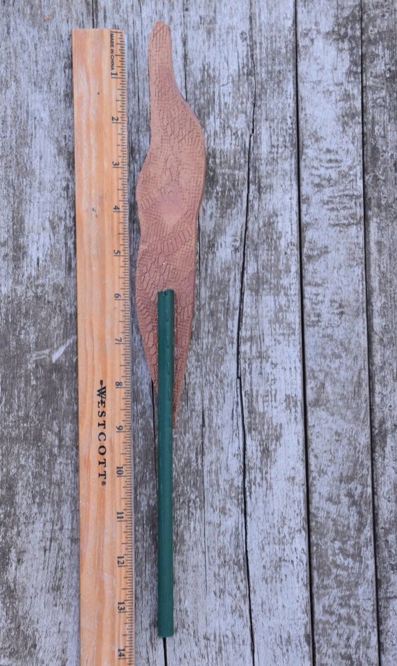May include: A brown, textured, wooden floral stem with a green metal wire running through the center. The stem is about 14 inches long and is measured against a wooden ruler.