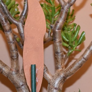 May include: A jade plant bonsai tree in a brown ceramic pot with a green stake and a brown paper leaf shape attached to the stake.