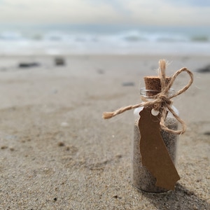 Beach Sand from the Southern California Coast