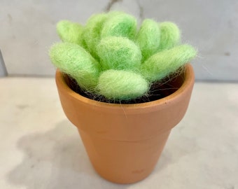 Felted Plant