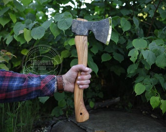 May include: A hand holds a black axe with a wooden handle. The axe has a brass edge and is against a backdrop of green foliage.
