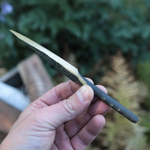 May include: A handcrafted, small, dark-colored wooden knife with a light-colored blade. The knife is held in a person's hand against a blurred green background. The blade appears to be approximately 4 inches long.