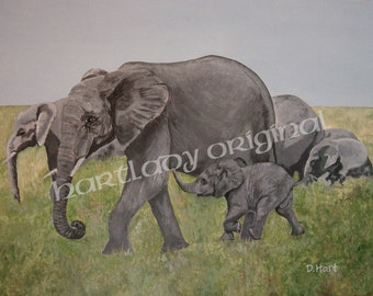 Elephants