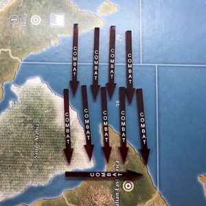 Designation Combat Arrows (x10)