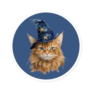 Sticker | Sorcerer Cat | Matte Vinyl | Water Bottle Sticker | Funny Stickers | Laptop Stickers | Hydroflask Stickers | Animal Art Gift