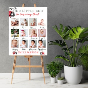 May include: A white poster board with a red ladybug design and the text "Our Little Bug Is Turning One!"  The poster board is divided into 12 squares, each containing a photo of a baby at different ages. The text "Emily Watson" is at the bottom of the poster board.