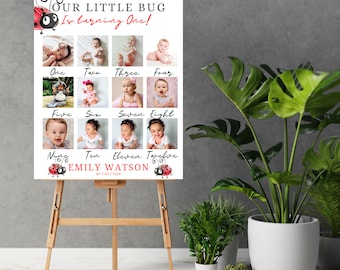 Ladybug First Birthday Photo Sign Banner, 1st Birthday Photo Poster, Baby's First Year Backdrop, Lady Bug Birthday Signs, #LDYB