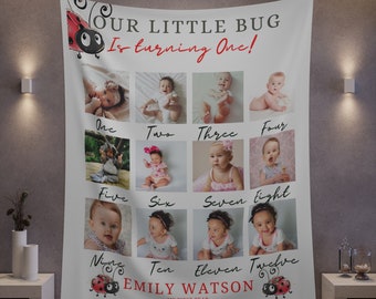 Ladybug First Birthday Photo Sign Banner, 1st Birthday Photo Poster, Baby's First Year Backdrop, Lady Bug Birthday Signs, #LDYB